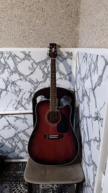 12 струн: Акустическая гитара типа дредноут с вырезом (cutaway), 6 струн. - — 2