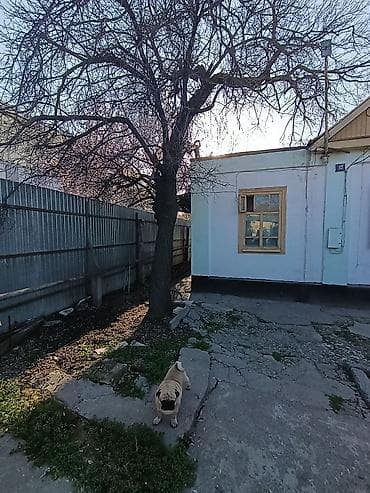 hostel osh: Продаю частный дом,по ул.Абдымомунова,район Рынка Мадина,Аламединский — 9