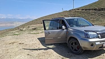 камуфляж ткань: Nissan X-Trail: 2004 г., 1.9 л, Автомат, Бензин, Кроссовер — 2