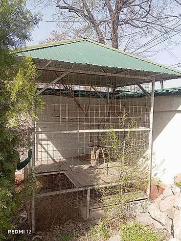 Вольер/уличная клетка с крышей из профнастила - Просторный