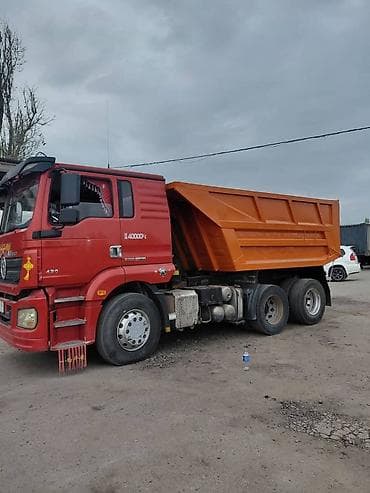 баран живой: Продаю Самосвал 6x4 Shaanxi (Shacman) М3000, 430 л.с. - Колесная — 1