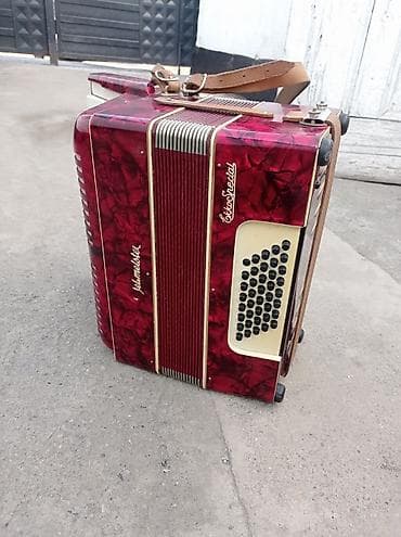 аккордеон: Аккордеон Weltmeister Etto Special - Немецкий аккордеон с — 1