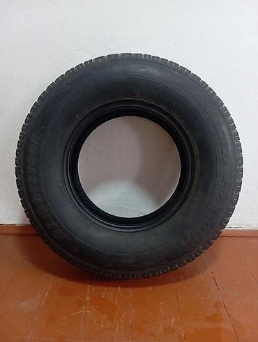 Унаа: Шиналар 225 / 80 / R 15, All-season, Колдонулган, 1 даана, Жол тандабастар (АТ/МТ), Bridgestone — 3