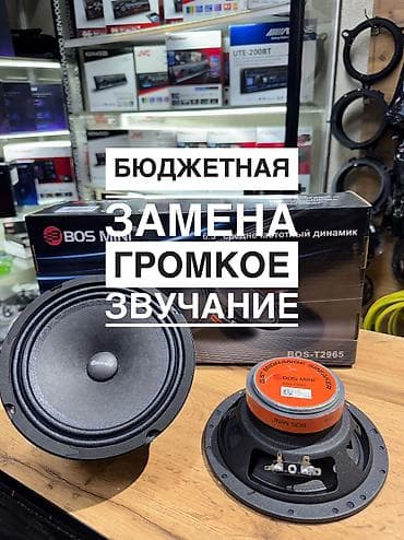 Инструменты для авто: Бюджетная замена динамиков. Громкие эстрадные динамики Bos Mini — 1