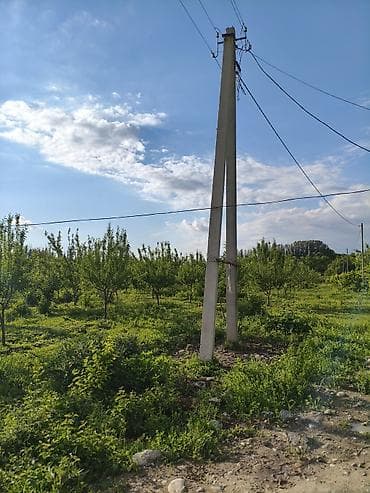 за сколько можно продать дом: 100 соток, Для сельского хозяйства, Договор купли-продажи — 8