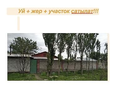 сокулуе: Сокулуктан. Национальный. Айылынан 10 км ылдый центрдан. Там сатылат — 1