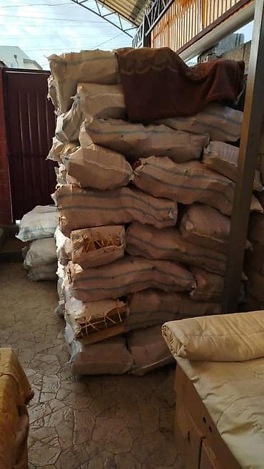 Газонокосилки: Дрова — 6