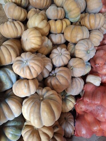 банки 3 литра цена бишкек: Продаю тыквуПродаю Тыква оптом от 2,5 тонн Предлагаем свежую — 4