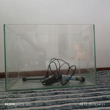 1 грамм золота цена бишкек: Продается аквариум с объемом 30 литров, есть к нему фильтр для очистки — 5