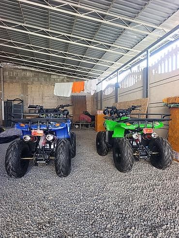 ktm мотоциклы: Квадроцикл Бензин, 130 куб. см, Детский — 5