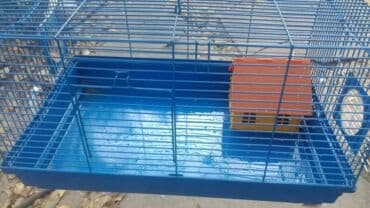 акустические системы atrix колонка в виде собак: Продаю клетки для хомячков от 500 до 1500 сом. и самих хомячков по 150 — 13