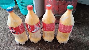 Продукты питания: Сары май Ат Башыныкы — 1