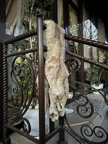 Текстиль: Натуральные шкурки хищника (полотнища с лапами и хвостом) - Материал — 3