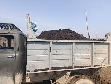 пионер кукуруза: В тоннах, Бесплатная доставка, Зил — 8