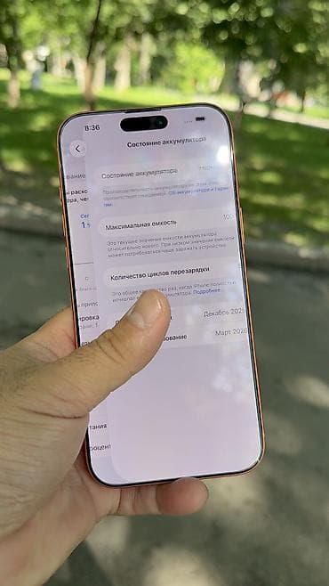 iphone 12 pro max цена бишкек бу: IPhone 17 Pro Max, Б/у, 1 ТБ, 100 % — 7