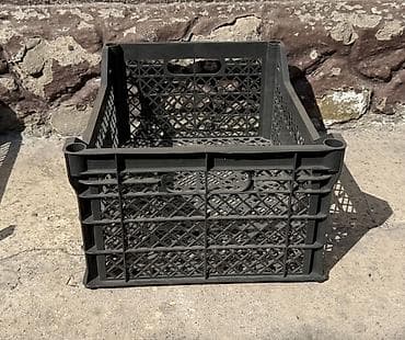 драгон фрукт: Пластиковый Ящик — 10