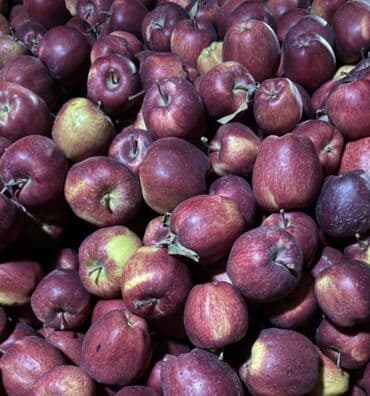 фруктовые корзины: Яблоки — 1