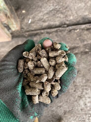 ячмень цена: Комбикорм высшего качества 👍👍👍 Цена оптом : 20 Цена в рознице: 30 — 6