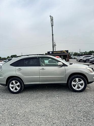Lexus RX: 2003 г., 3.3 л, Автомат, Бензин, Кроссовер