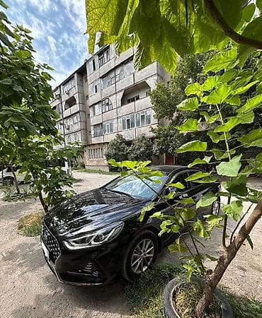 продам кару: Hyundai Sonata: 2020 г., 2 л, Автомат, Газ, Седан — 6