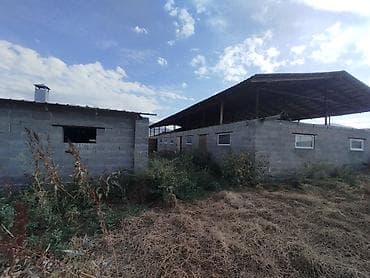 земли сельхозназначения: Кошара, 20 соток, Не действующий, Частично с оборудованием, Электричество — 5