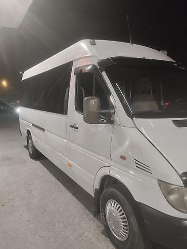 дельфин спринтер: Mercedes-Benz Спринтер: 2001 г., 2.9 л, Механика, Дизель, Бус — 2