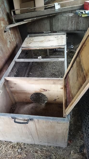 Клетка/домик для кур и цыплят 2 штуки. - Конструкция из фанеры и бруса at lalafo.kg Клетка/домик для кур и цыплят 2 штуки. - Конструкция из фанеры и бруса