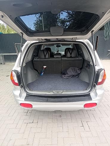 Hyundai Santa Fe: 2003 г., 2.4 л, Механика, Бензин, Кроссовер