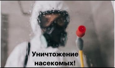 дезинфекция дома от клопов ош: Дезинфекция, дезинсекция, | Клопы, Блохи, Тараканы, | Дворы, Подъезды, Офисы — 1