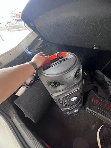 Портативная акустическая система с микрофоном - Форм‑фактор