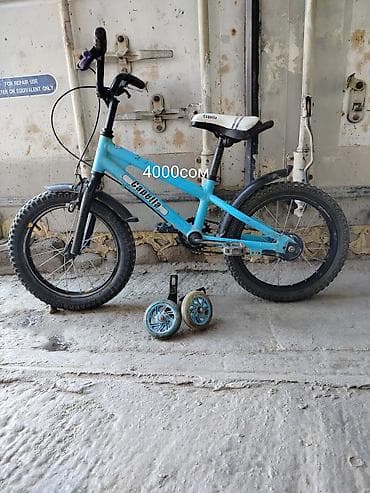 Детский велосипед, 2-колесный, 4 - 6 лет