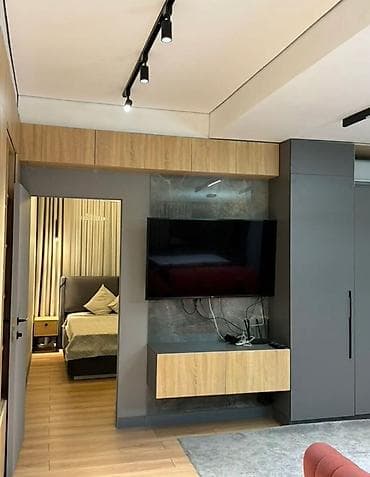 студен: Студия, Риэлтор, Без подселения, С мебелью полностью — 5