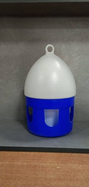 сколько стоит черепаха маленькая в бишкеке: Поилка для голубей 2Л и 4Л — 1