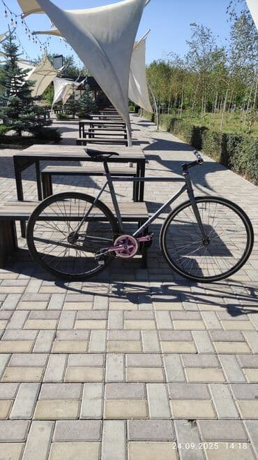 купить кораблик для рыбалки с эхолотом бу: Шоссейный велосипед, Рама L (172 - 185 см), Б/у — 1