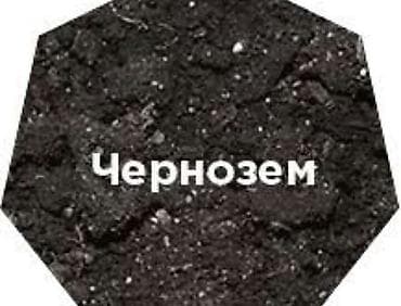агробалт грунт: Чернозем для газона 
Доставка зил — 1