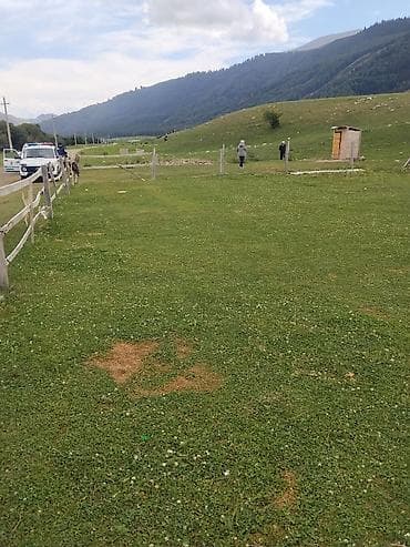 ретрит: Туристическая юрта в горах — отдых на природе - Традиционная юрта с — 3