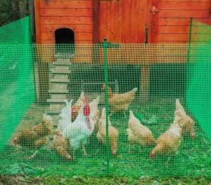 домик для куры: Сетка для птичников пластиковая -сооружение вольеров для мелких — 5
