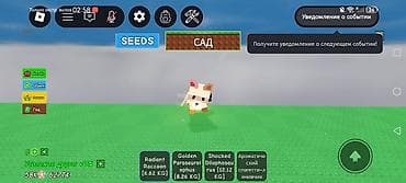 Дом и сад: Игровой аккаунт/набор в Roblox (симулятор с питомцами и предметами) — 3