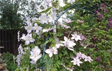 фитолампы для растений: Декор для дома и сада — 8