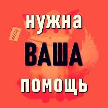 Бекерге берем: Просим помочь неравнодушных людей 🙏 Здравствуйте! У нас в семье двое — 1