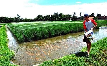 Требуется опытный рабочий на рыбное хозяйство для присмотра и