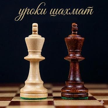 Обучение, курсы: Уроки шахмат — пакет из 5 занятий - Индивидуальные занятия: разбор — 1