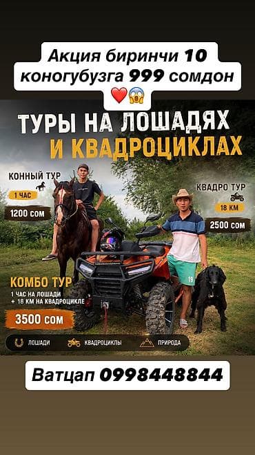 коный тур: Квадротур — приключение, которое запомнишь! Писать на ватцап телефон — 1