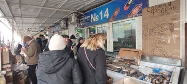 Дордой Фуд даяр бизнес точка сатылат! Продаётся готовый бизнес, точка