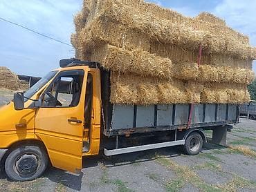 животние: Арпа саман сатылат 100сом с доставкой беловодск любое количество — 3