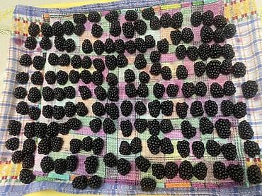 Продукты питания: Продаю мытую, замороженную ежемалину. Стоимость литровой банки 200 — 1
