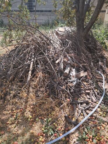 Дрова Самовывоз