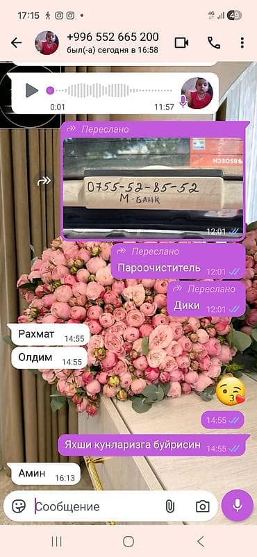 стерильная машина: Пароочиститель Ручной Новый — 2