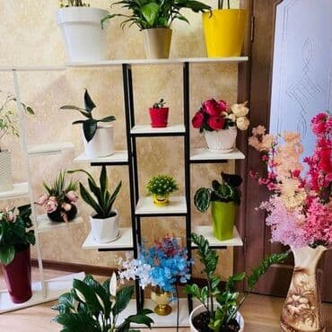 столешницы для кухни в бишкеке цены: Подставки для цветов производство и продажа, 💯качество аккуратность — 4