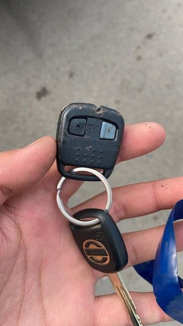 универсальный набор инструментов для дома: Изготовление ключей и установка сигнализации. Чип ключи. центральный — 24